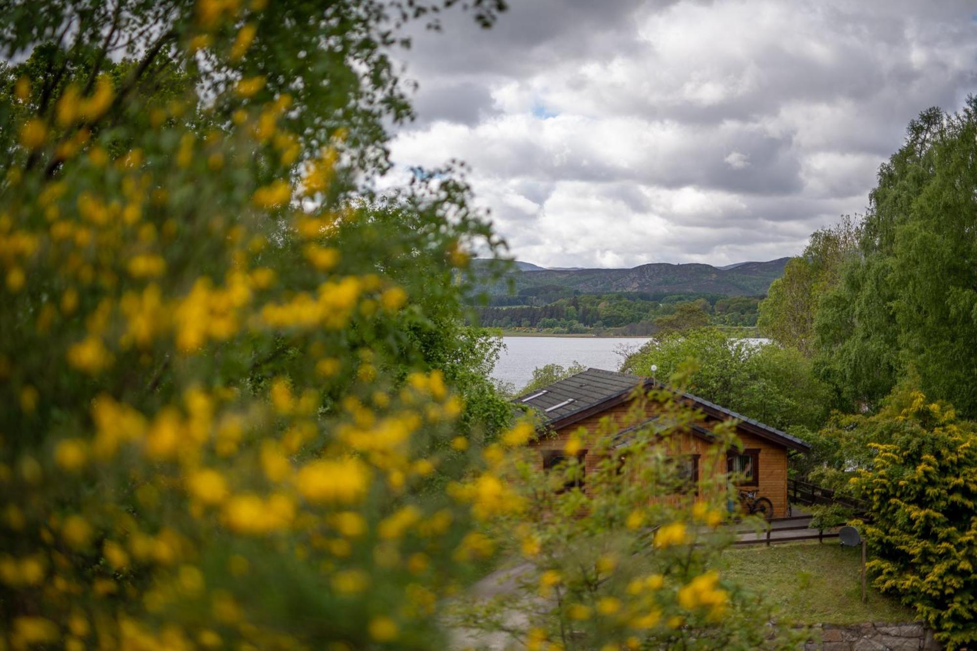 Loch Insh Chalets Ltd Kincraig Esterno foto